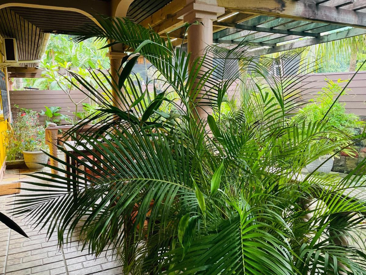 Effie Mountain View Coco Villa Misere Luaran gambar